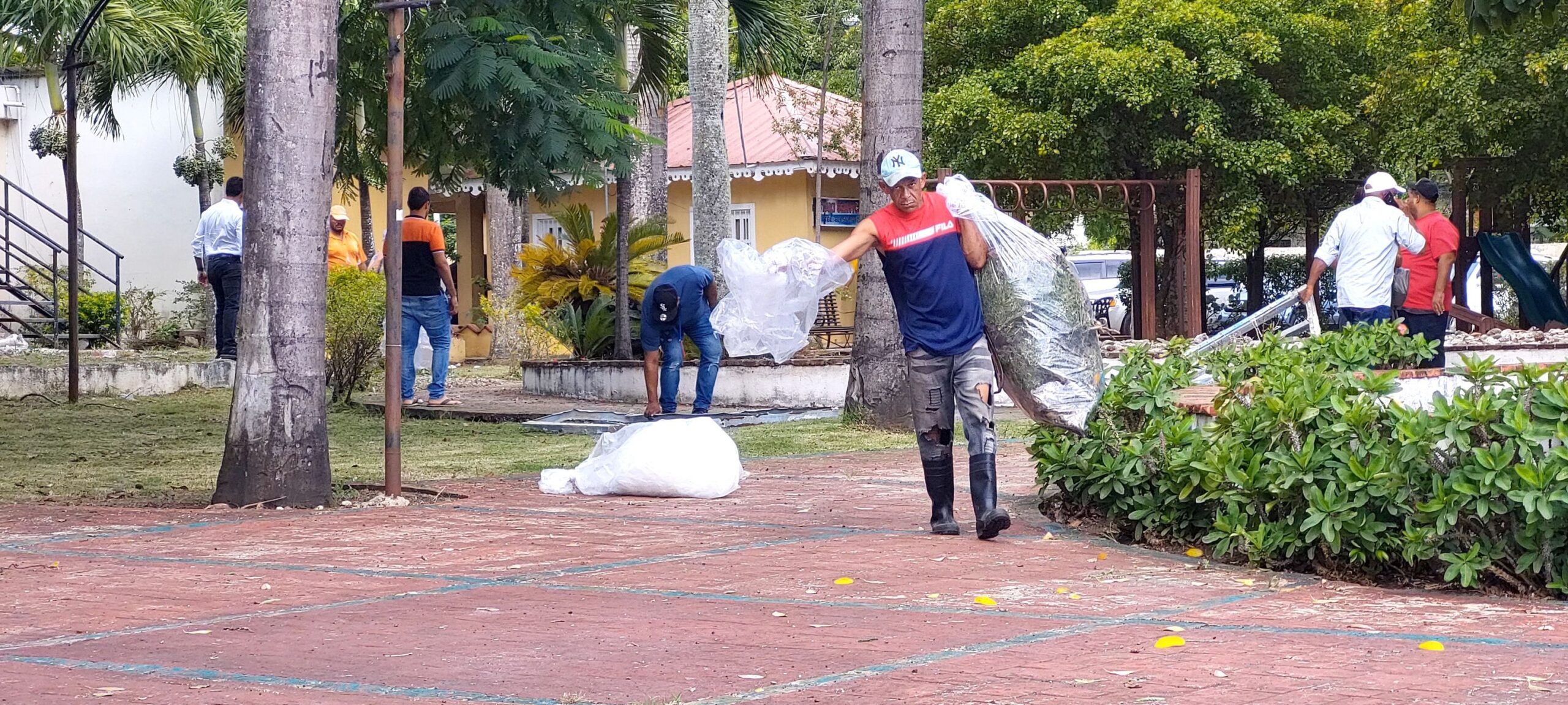 Por disposición del honorable alcalde Wilfredo Olivences, desde tempranas horas, Brigadas de Ornato del ayuntamiento municipal de Sosúa, realizan poda de árboles y acondicionamiento a los parques del Municipio,
